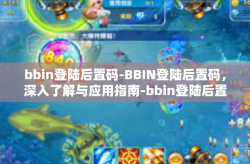 bbin登陆后置码-BBIN登陆后置码，深入了解与应用指南-bbin登陆后置码