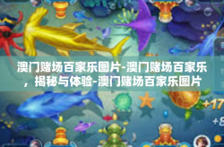 澳门赌场百家乐图片-澳门赌场百家乐，揭秘与体验-澳门赌场百家乐图片