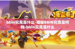 bbin究竟是什么-揭秘BBIN究竟是何物-bbin究竟是什么
