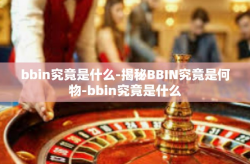 bbin究竟是什么-揭秘BBIN究竟是何物-bbin究竟是什么
